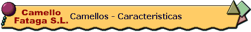 camellos caracteristicas NBan