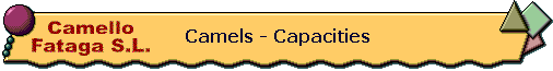 camels capacities NBan